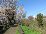 1810_s32s200402.jpg