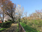 I1814_s31s200402.jpg