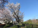 1816_721s200402.jpg