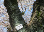 1817_721s200402.jpg