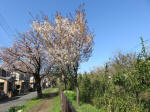 1818_s21s200402.jpg
