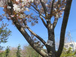 1819_s21s200402.jpg