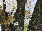 1821_726s200402.jpg