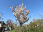 1822_s19s200402.jpg