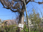 1823_s19s200402.jpg