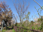 1824_s30s200402.jpg