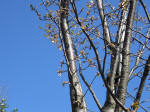 1825_s30s200402.jpg