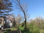 1829_734s200402.jpg
