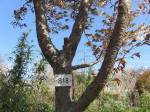 1832_s18s200402.jpg