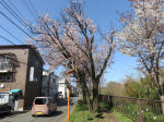 1833_737s200402.jpg