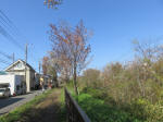 1837_s17s200402.jpg