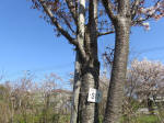 1838_s17s200402.jpg