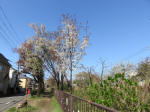 1839_s29s200402.jpg