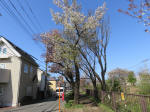 1841_748s200402.jpg