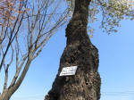 1842_748s200402.jpg