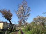 1845_s16s200402.jpg