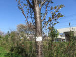 1846_s16s200402.jpg