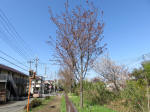 1849_s14s200402.jpg