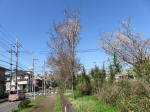 1851_s13s200402.jpg