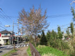 1853_s12s200402.jpg