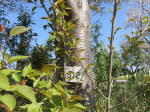 1854_s12s200402.jpg