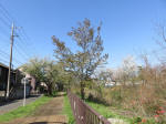 1857_ks1s200402.jpg