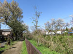 1863_ks43s200402.jpg