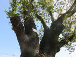 1869_772s200402.jpg
