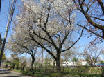 1876_780s200402.jpg
