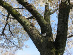 1883_787s200402.jpg
