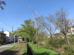 1884_ks42s200402.jpg