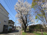 1890_794s200402.jpg