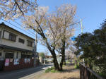 1892_796s200402.jpg