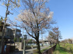 1896_798s200402.jpg