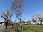 1900_ks5s200402.jpg