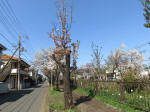 1910_813s200402.jpg