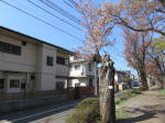 1931_835s200402.jpg