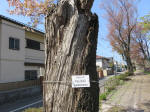 1933_835s200402.jpg