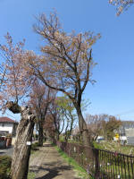 1934_837s200402.jpg