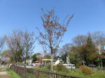 1960_ks40s200402.jpg