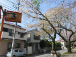 1987_882s200402.jpg
