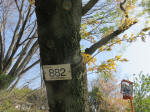 1988_882s200402.jpg
