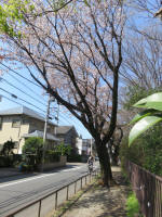 2001_896s200402.jpg