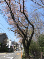 2003_897s200402.jpg