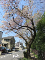 2005_899s200402.jpg