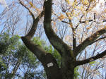 2006_899s200402.jpg