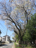 2007_900s200402.jpg