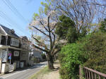2011_902s200402.jpg