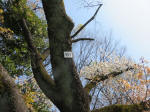 2012_902s200402.jpg