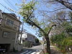 2013_903s200402.jpg